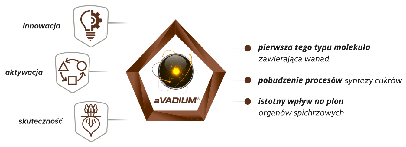 intermag avadium