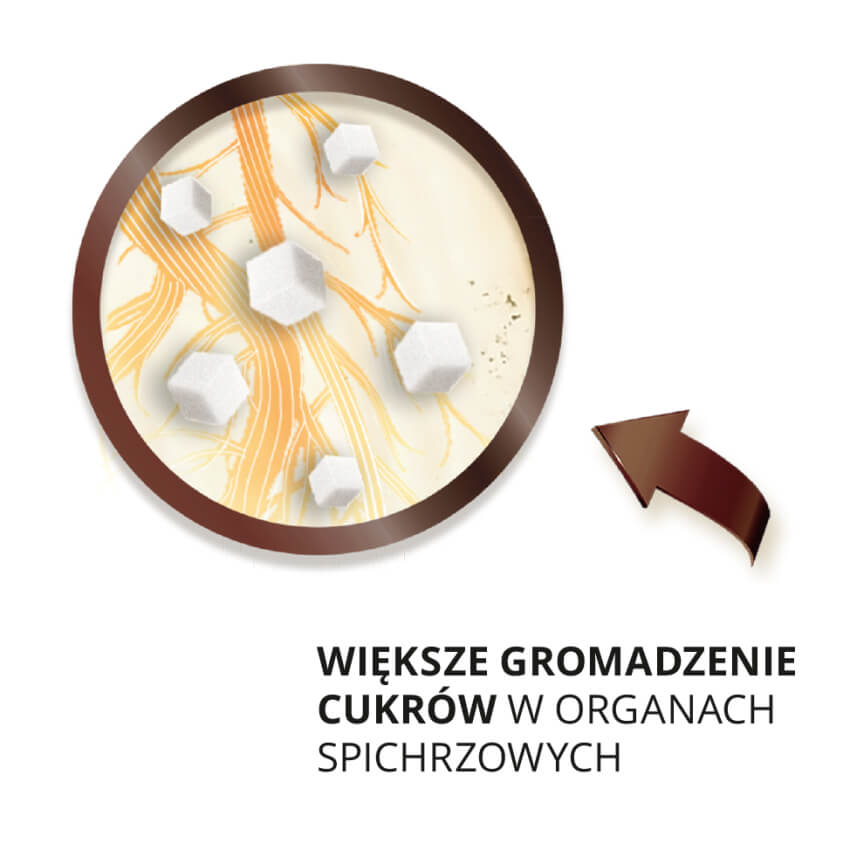 mniejsza podatność roślin na uszkodzenia mechaniczne